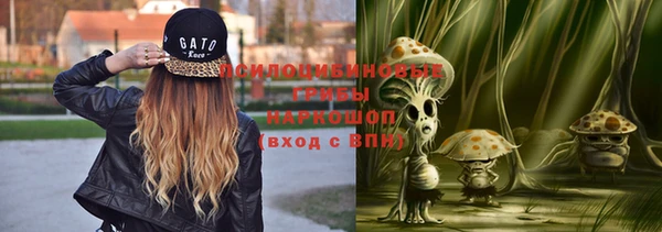 синтетический гашиш Костерёво