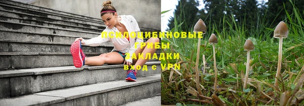 синтетический гашиш Костерёво