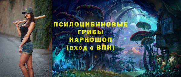 ECSTASY Корсаков