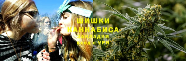 ECSTASY Корсаков