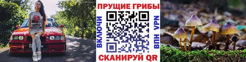 Галлюциногенные грибы GOLDEN TEACHER  Суздаль 